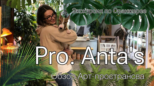 Обзорная экскурсия по Арт-пространсву Pro. Anta's || Прекрасное Питере @proantas