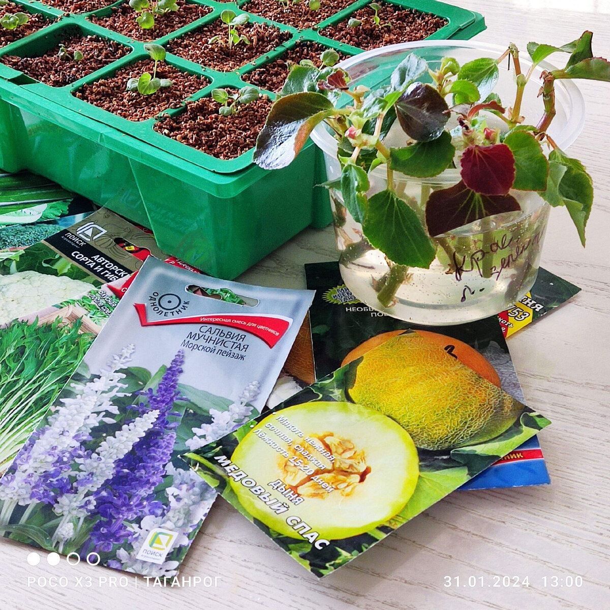 Сызранова. Афиша таганрог кино нео на петровской. Кинотеатр на сызранова таганрог. Таганрог кинотеатр нео на сызранова. График математика егэ.