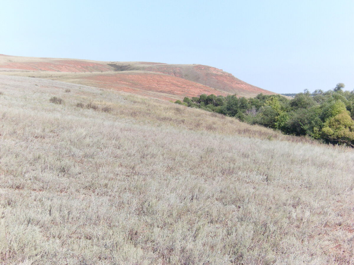 Оренбургские степи (фото автора)