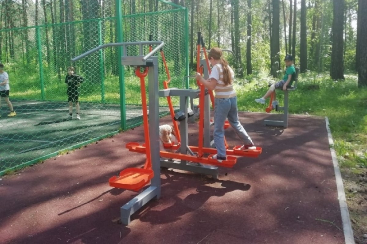    В Красноярске с 1 февраля стартует запись детей на отдых в летних лагерях