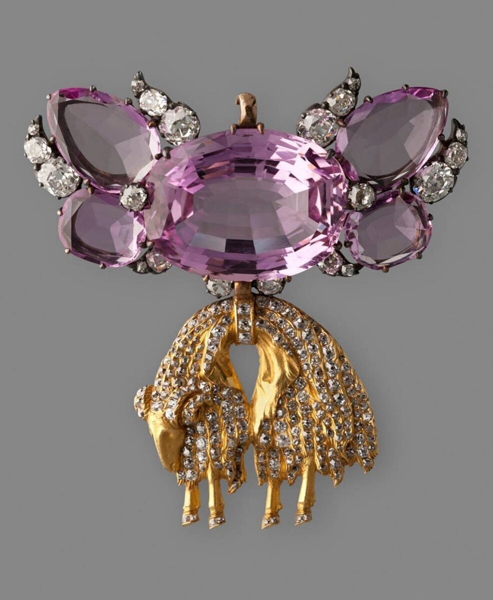 ужи королев. эгле - королева змей. ужи королев. ужи королев. змеи нижегородской области.