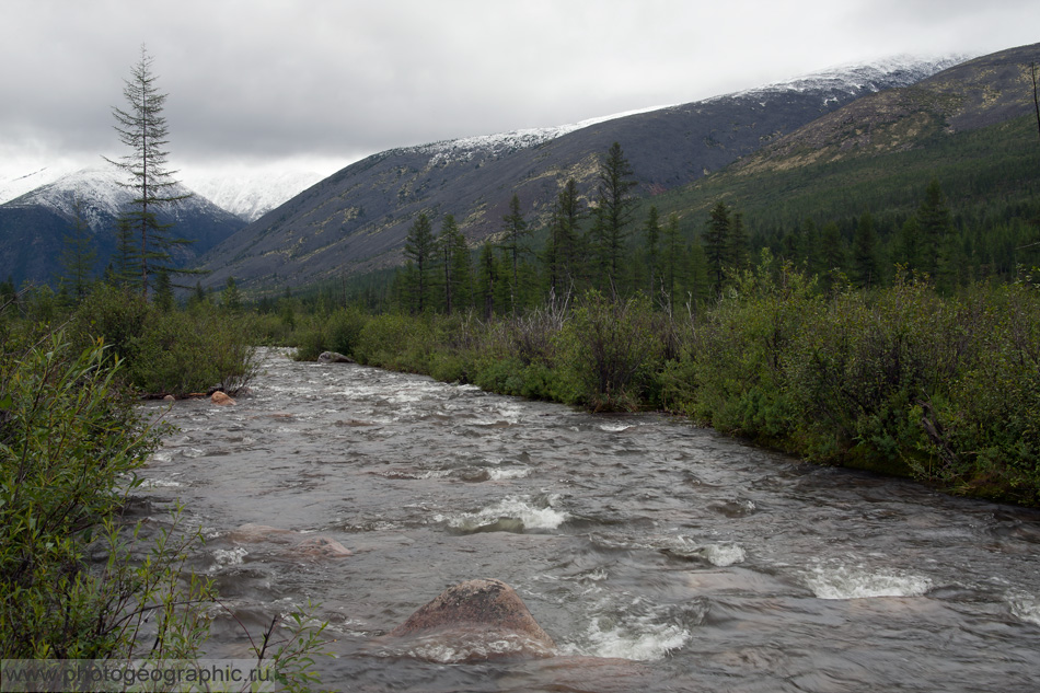 мы шли берегом большого озера. природа река. березовая роща с озером. озеро чепли. шли не берегом.