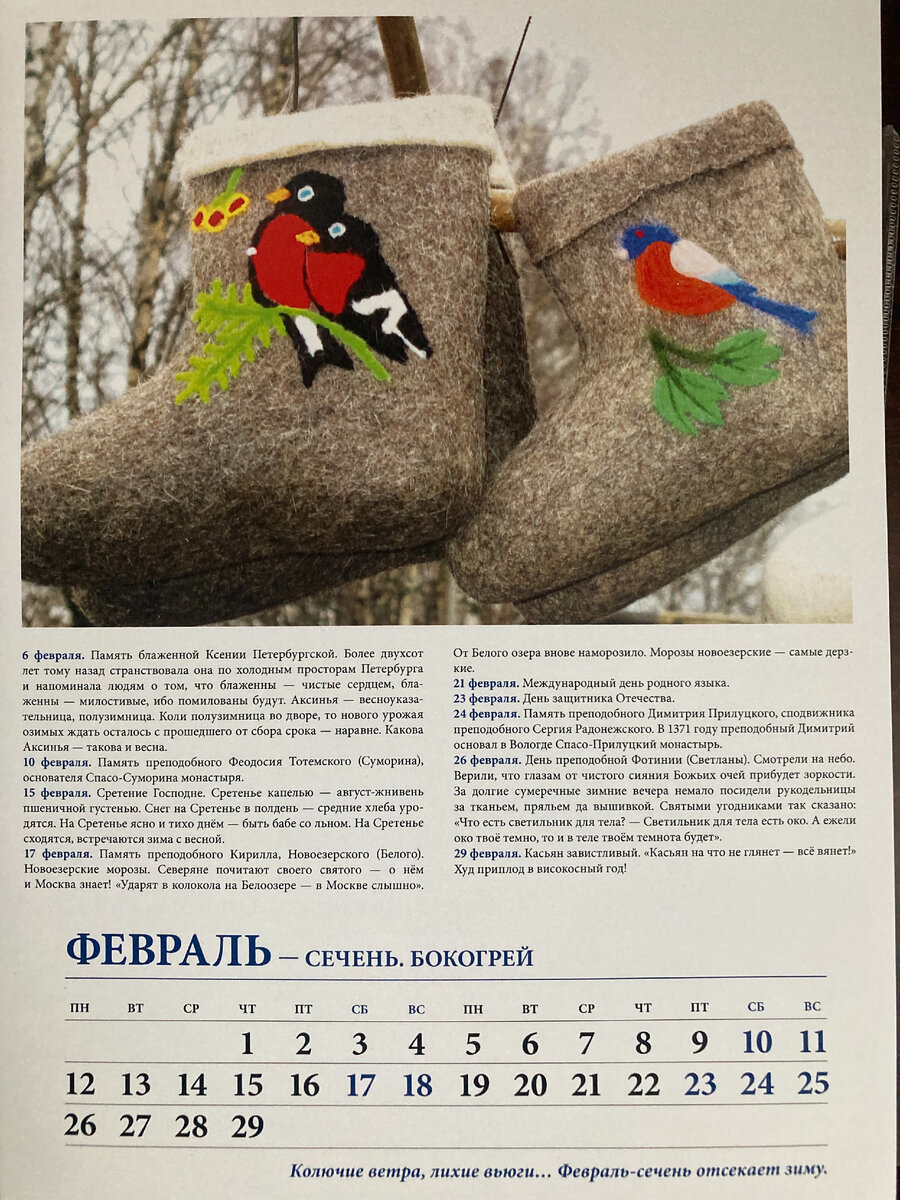 фото Елены Шершень