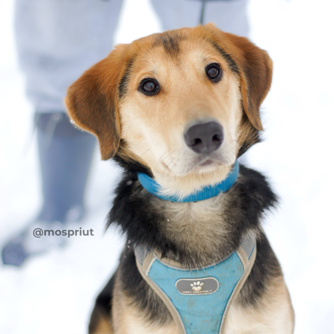 Смоки мо люби меня люби. Смоки мо выход из темноты. Смоки мо каратэ. Jamik музыкант. Смоки мо люби меня люби.