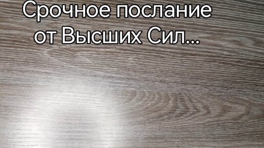 ⚡⚡⚡СРОЧНОЕ ПОСЛАНИЕ ОТ ВЫСШИХ СИЛ... ВАМ НЕОБХОДИМО ЭТО УЗНАТЬ...💯