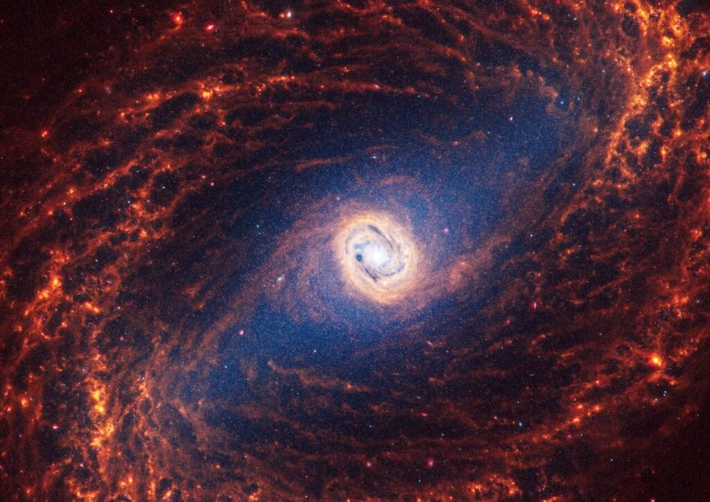    This spiral galaxy was observed as part of the Physics at High Angular resolution in Nearby GalaxieS (PHANGS) program, a large project that includes observations from several space- and ground-based telescopes of many galaxies to help researchers study all phases of the star formation cycle, from the formation of stars within dusty gas clouds to the energy released in the process that creates the intricate structures revealed by Webb’s new images. NGC 1433 is 46 million light-years away in the constellation Horologium. Learn more about what can be seen in this vast collection of Webb images here. [Image description: Webb’s image of NGC 1433 shows a face-on barred spiral galaxy anchored by its central region, which is circular and shows a bright white point at the centre with a light yellow circle around it. The galaxy has a large bar connected to filamentary spiral orange arms that appear to rotate counterclockwise.] Анастасия Никифорова