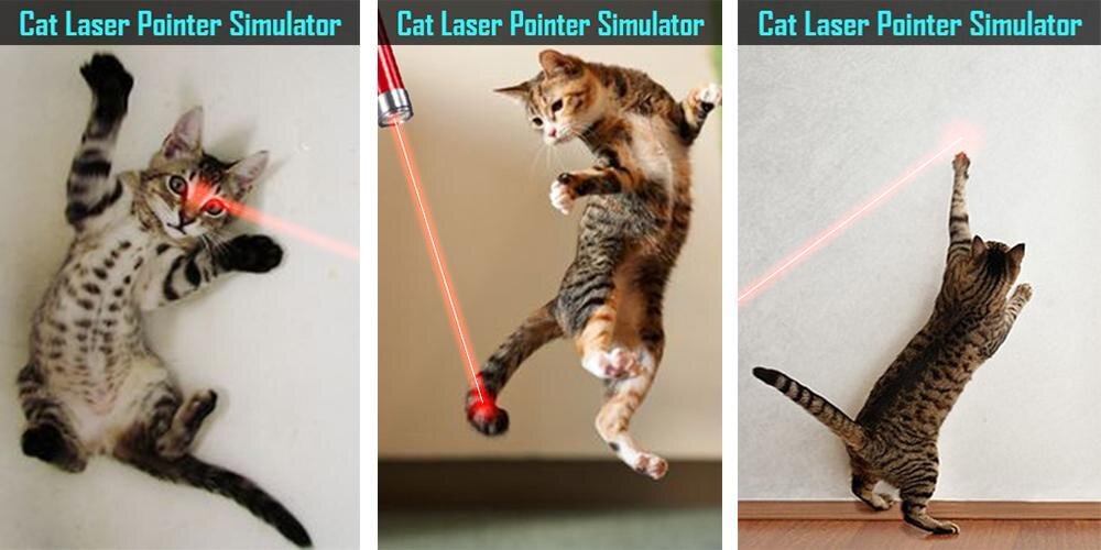 Кот с указкой. Кот бежит за лазерной указкой. Кот играет с лазером. Котик и лазерная указка. Кот бегает за лазерной указкой.