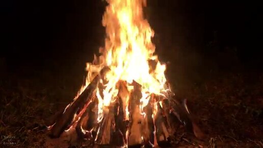 лес в огне. лесные пожары в иркутской области. в лесу был огонь. в лесу был огонь. Wildfire wildfire.