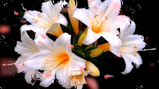 2 2 0 8 музыка. Диджей на фестивале. 2 2 0 8 музыка. Ableton live 8. Dj фестиваль.