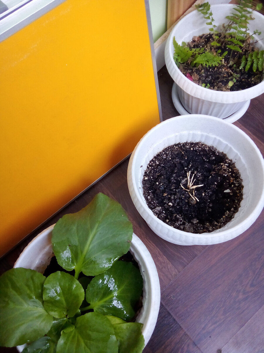 В статье все фото авторские