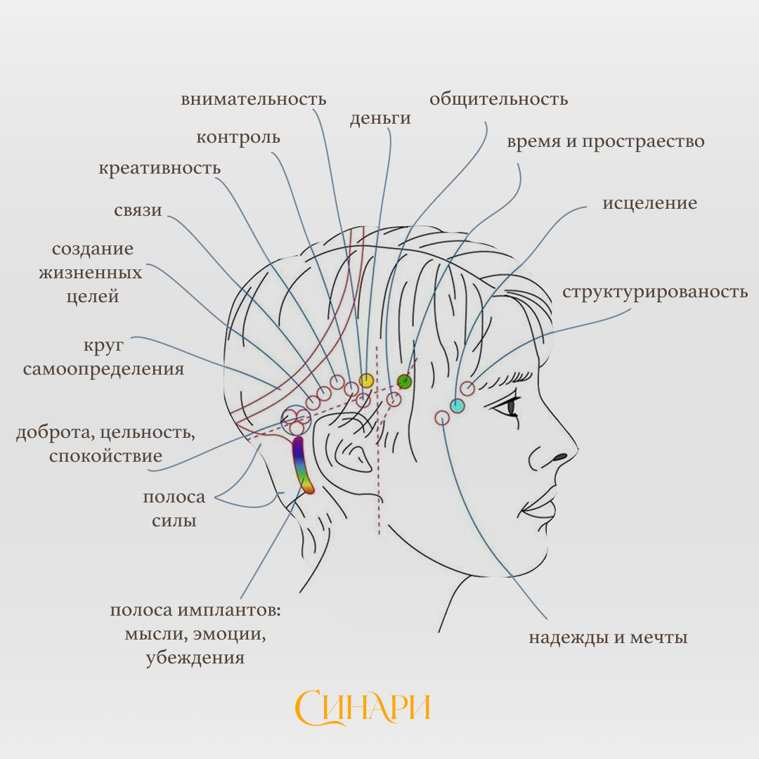 Энергетические точки на голове - Бары