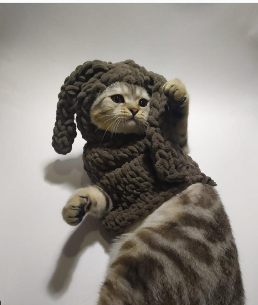 Лейс в своём костюме "ДерЗай".