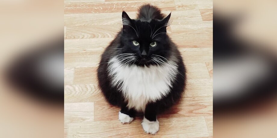 Фото: vk.com/Библиотеки Строгина 