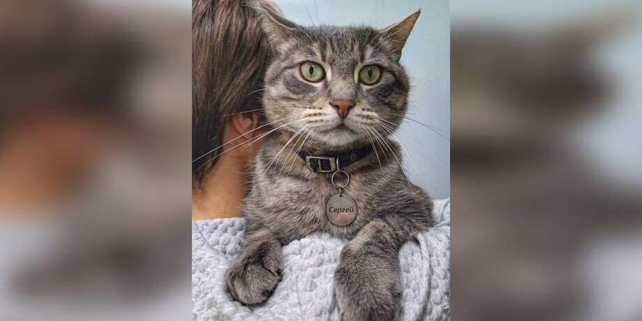 Фото: vk.com/кот Сергей 