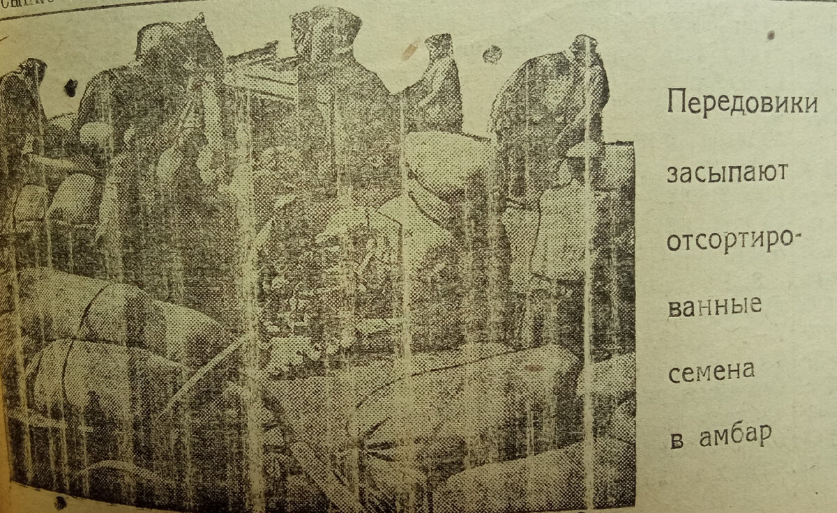 хроники текст. хроники текст. хроники рукописи. хроники текст. публицистический стиль речи примеры.