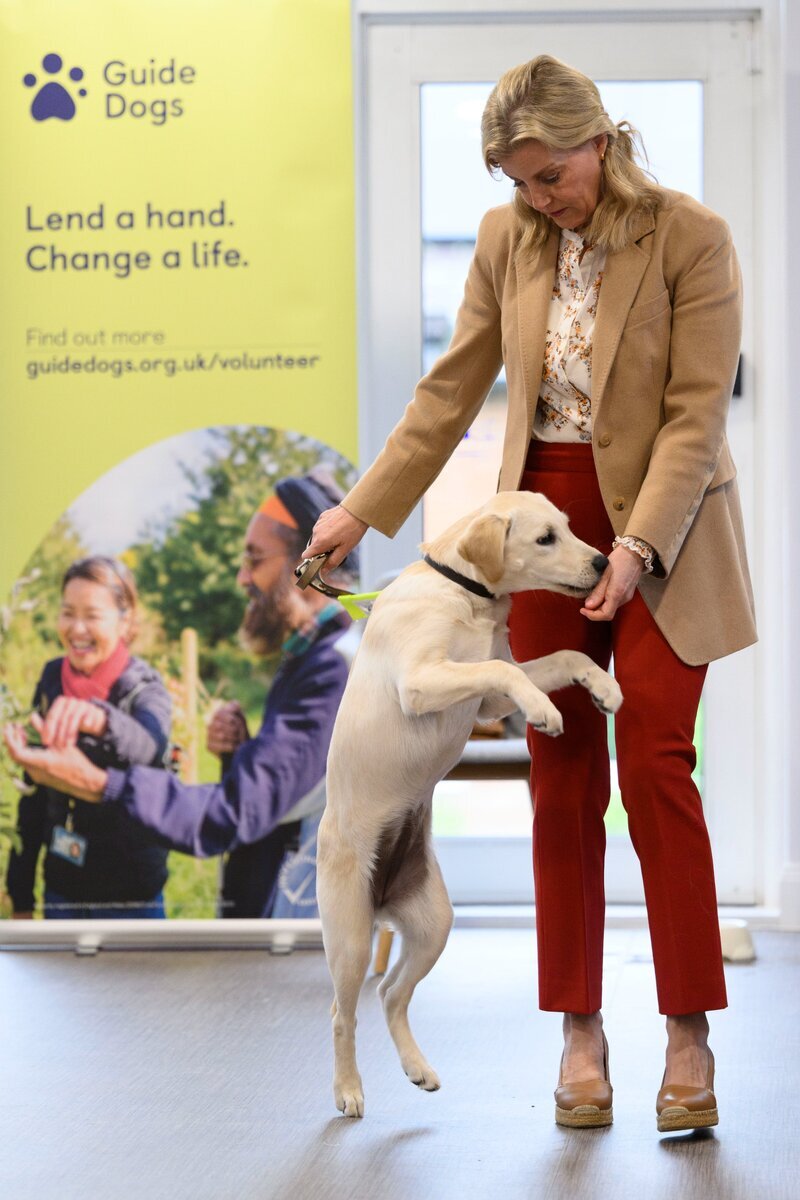 Король Чарльз сделал громкое заявление, находясь на больничном после ...