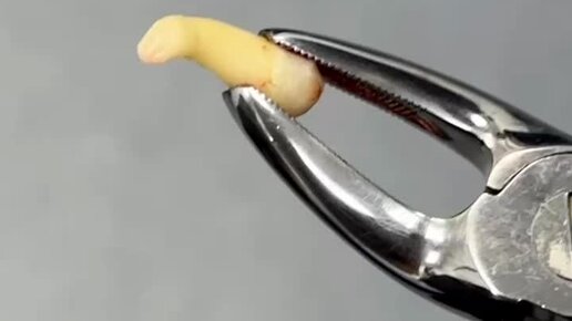 золотухин челюстно лицевой хирург. чукумов ринат маратович. золотухин челюстно лицевой хирург. золотухин челюстно лицевой хирург. дудкин виктор сергеевич.