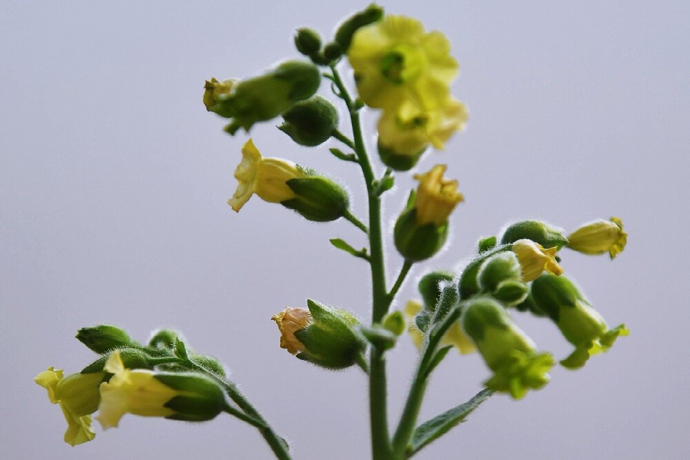 Алексей Куденко / РИА Новости