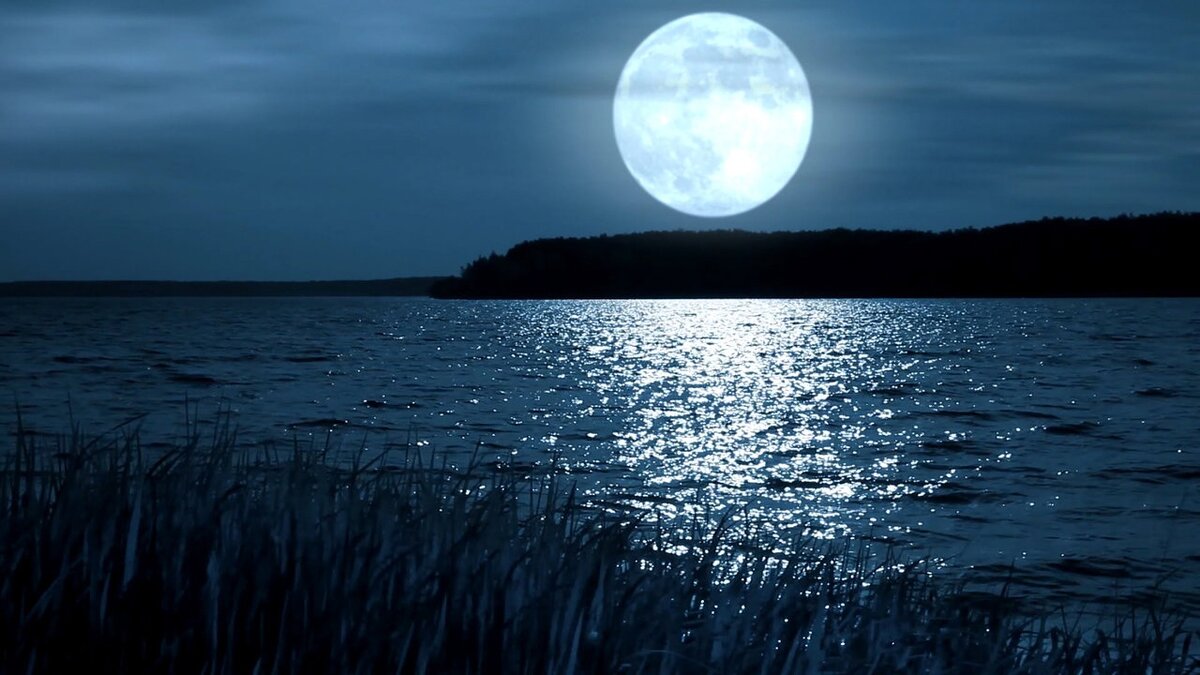 Свет бледной луны. Ночь Луна. Луна над озером. Отражение Луны в воде. Озеро ночью.