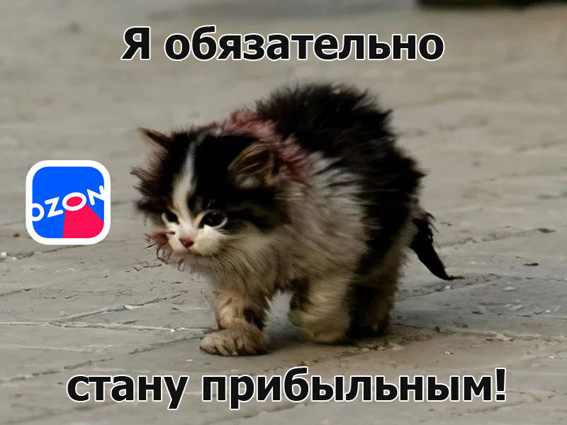 Врач и пациент. Стоит ли работать психиатром. Отличие психолога от психотерапевта. Причины для обращения к психиатру. Психолог и психиатр отличия.