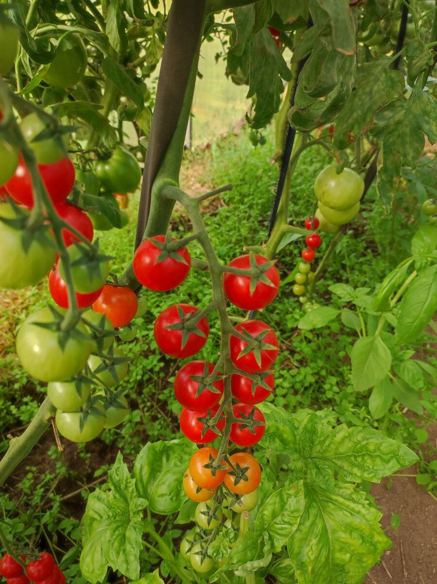 Ах, лето! Как мы тебя ждем!