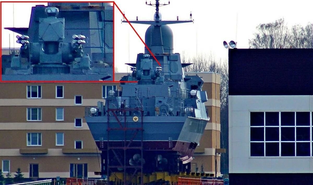 Морской панцирь фото