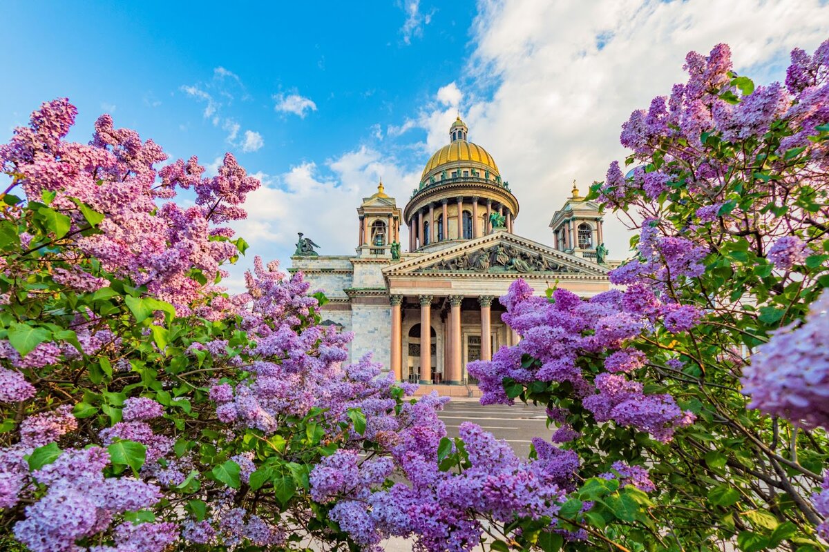 Город просыпается: чем заняться в Санкт-Петербурге весной? | Турслёт —  правдивые истории о путешествиях по России | Дзен