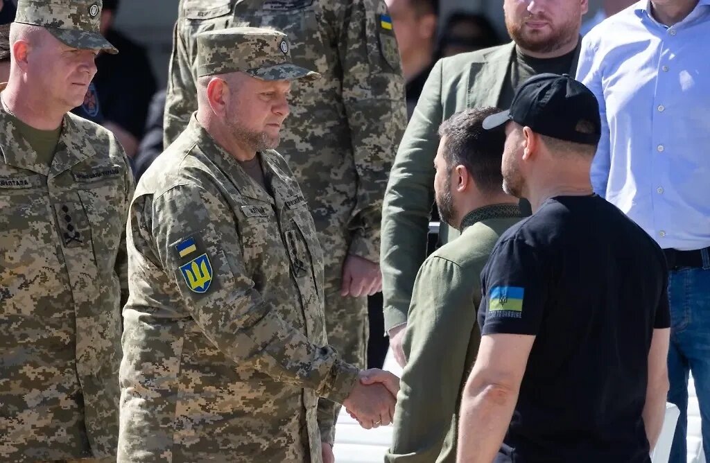 Фото взято из открытых источников 