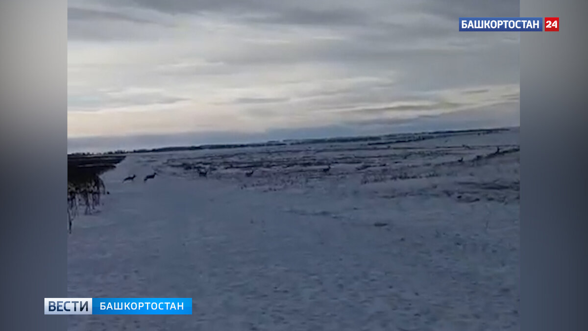 Стелла альшеевский район. Бала четырман школа федоровский район. Фёдоровка республика башкортостан. Фёдоровка (фёдоровский район, башкортостан). Село федоровка федоровский район республика башкортостан.