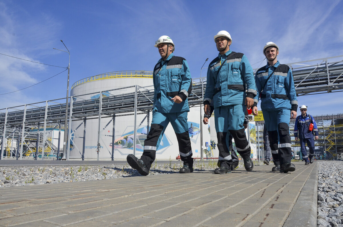 В России недостаточно производственных мощностей.  Фото: Фото: ФедералПресс / Дмитрий Шевалдин