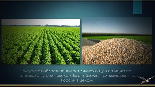 завтра свободный амурская область. завтра свободный амурская область. амурская тэс г свободный. завтра свободный амурская область. амурская область город свободный город.