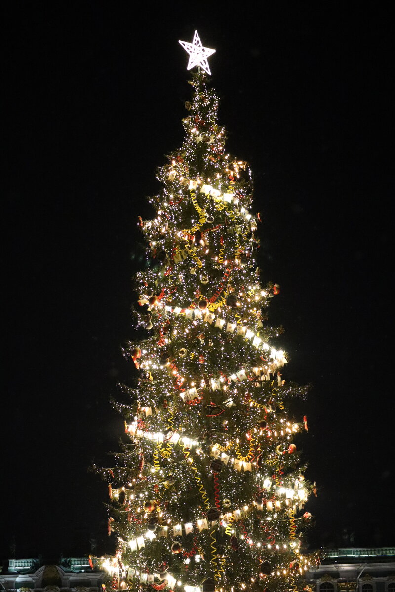 дворцовая площадь в новогодние каникулы в петербурге. новогодняя ночь на дворцовой. дворцовая площадь в санкт-петербурге новый год. новогодняя программа на дворцовой площади. санкт-петербург 2019.