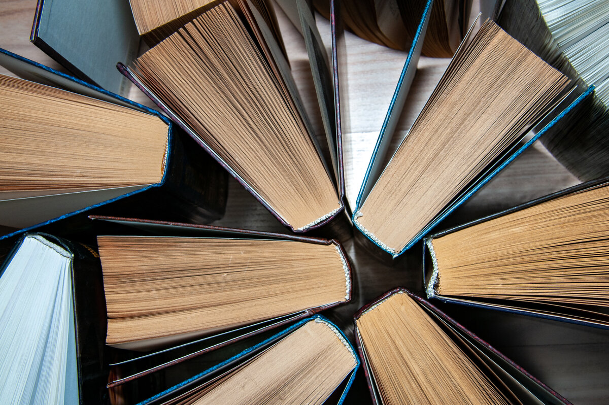    Фото: © Svetlana Vozmilova/globallookpress