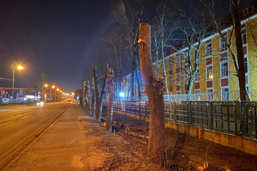 храм александра невского в калининграде, калининград. калининград ул александра невского. работа в калининграде невского. улица александра невского калининград. невского 50-52 калининград.