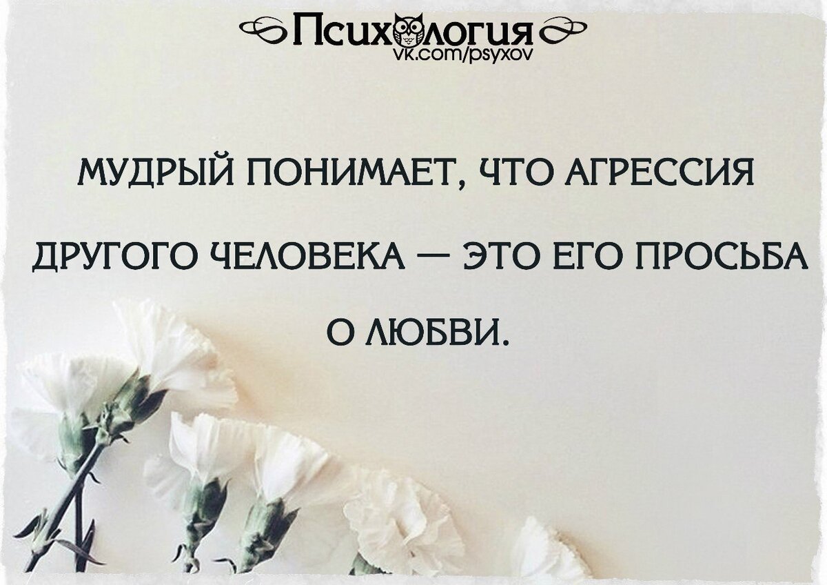 Нельзя глупо. Цитаты про понимание. Высказывания о понимании. Афоризмы про понимание. Цитаты о понимании других людей.