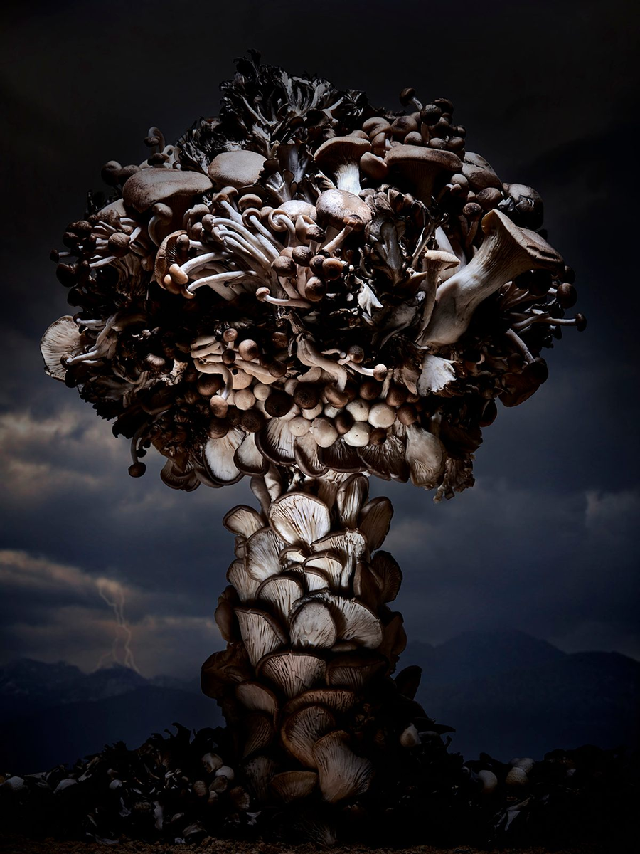 ядерная боеголовка царь бомба. ядерная бомба. ядерная война между россией и сша. ядерный взрыв в городе. как будет выглядеть ядерная.