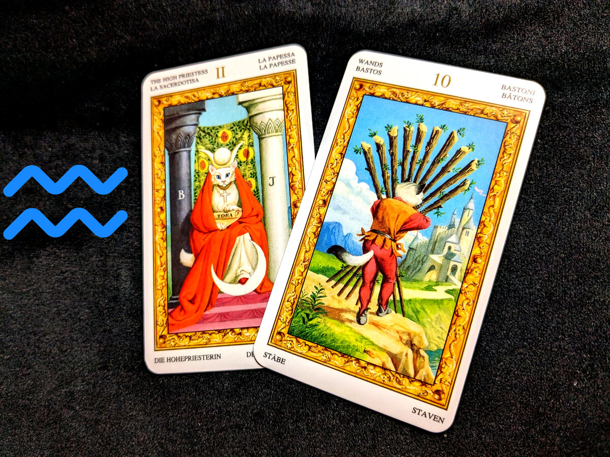 Программа передач мур мур. Сериал мур есть мур постеры. Мур есть мур-3 2005. Евгений сидихин мур есть мур. Программа передач мур мур.