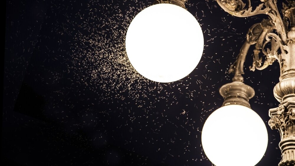    Фото: Shutterstock