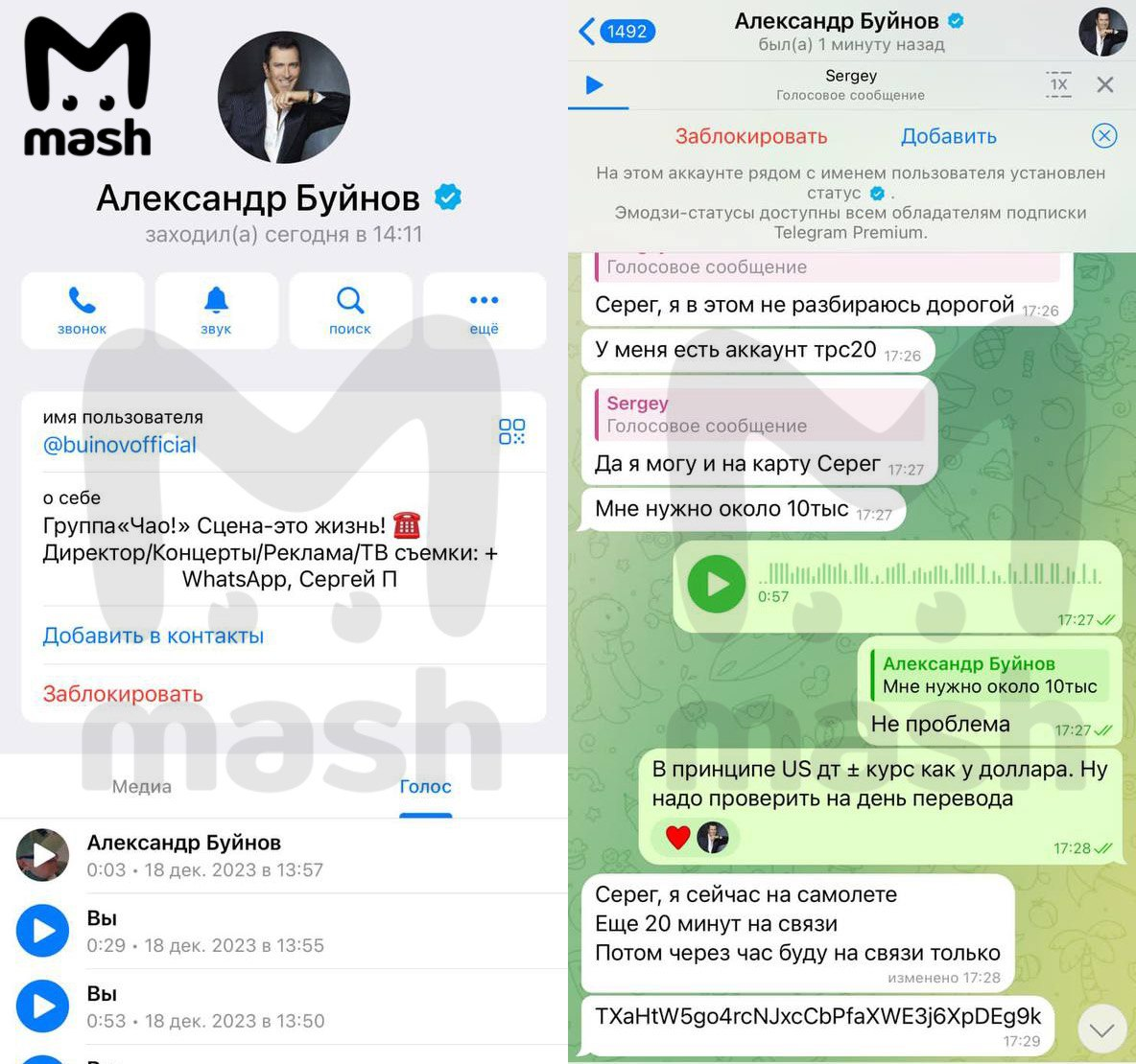 Переписка липового Александра Буйнова со своим менеджером 
Фото: Mash