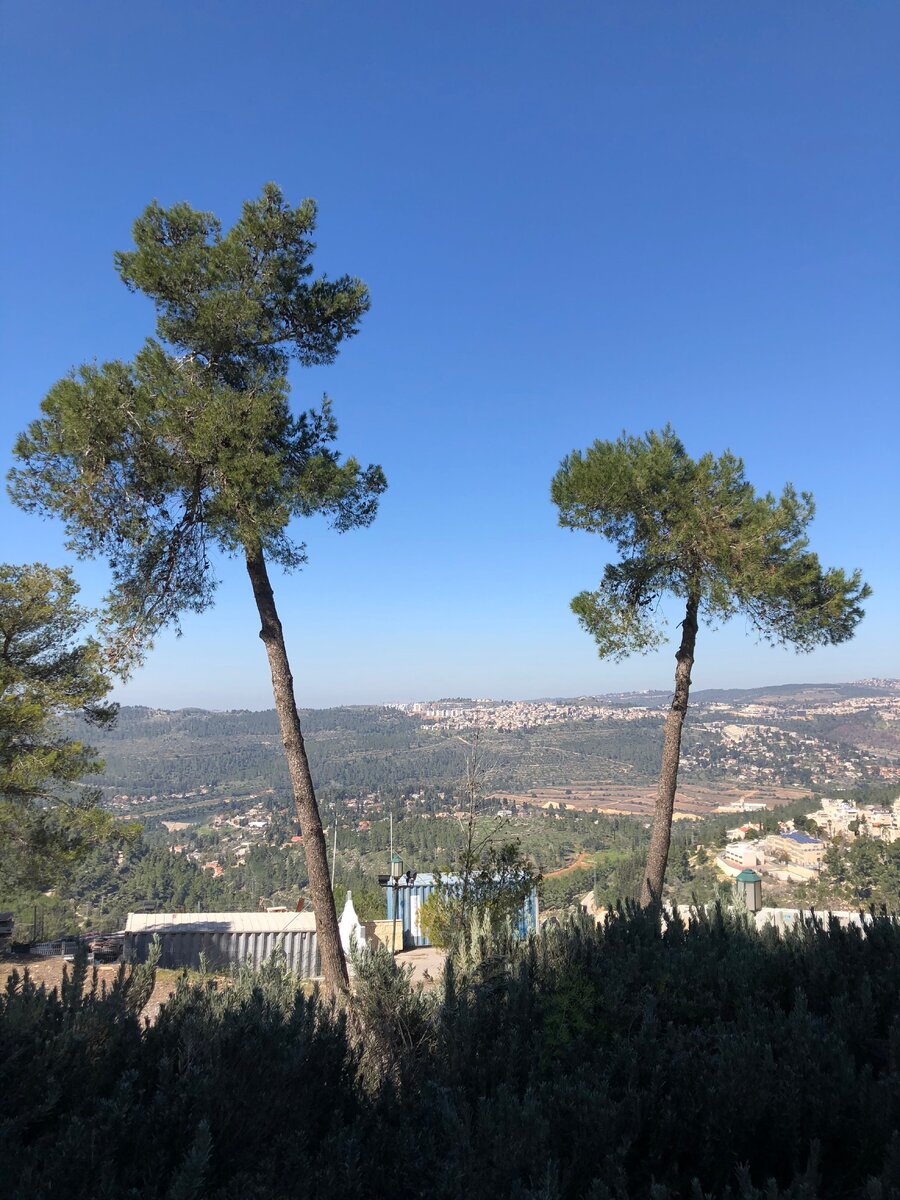 А в иерусалиме ноты. А в иерусалиме ноты. Мой золотой иерусалим ноты для фортепиано. Иерусалим ноты. Ноты песни иерусалим.