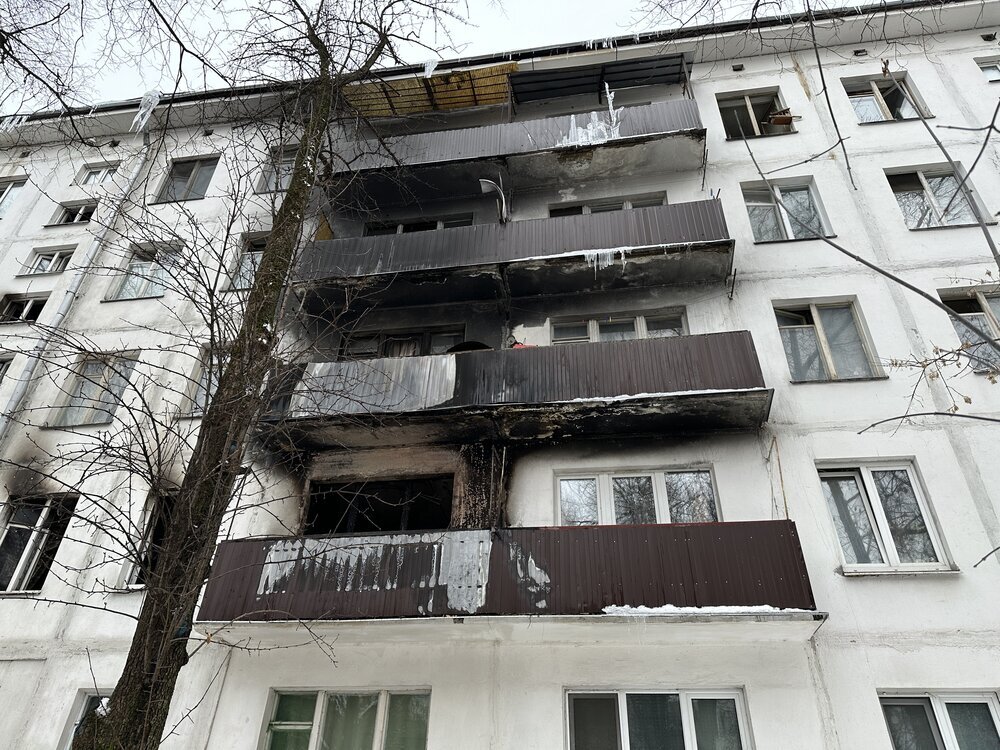    Фото: АГН Москва/ Мобильный репортер
