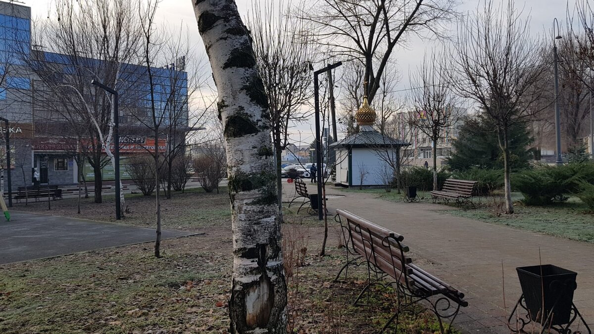 Динская. Парк культуры и отдыха.