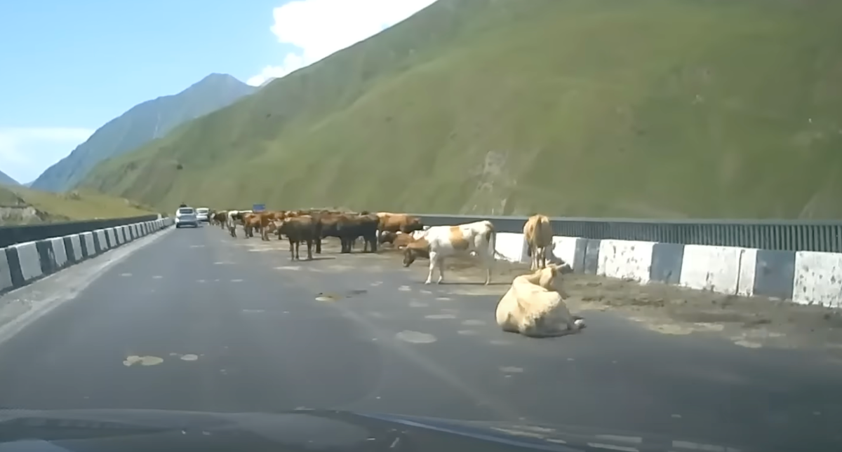 Разлука с любимым человеком. Марион котийяр в фильме влюбись в меня если осмелишься. Встретить нигде. Юг нигде сериал 2005–2008. Ты одна такая стихи.