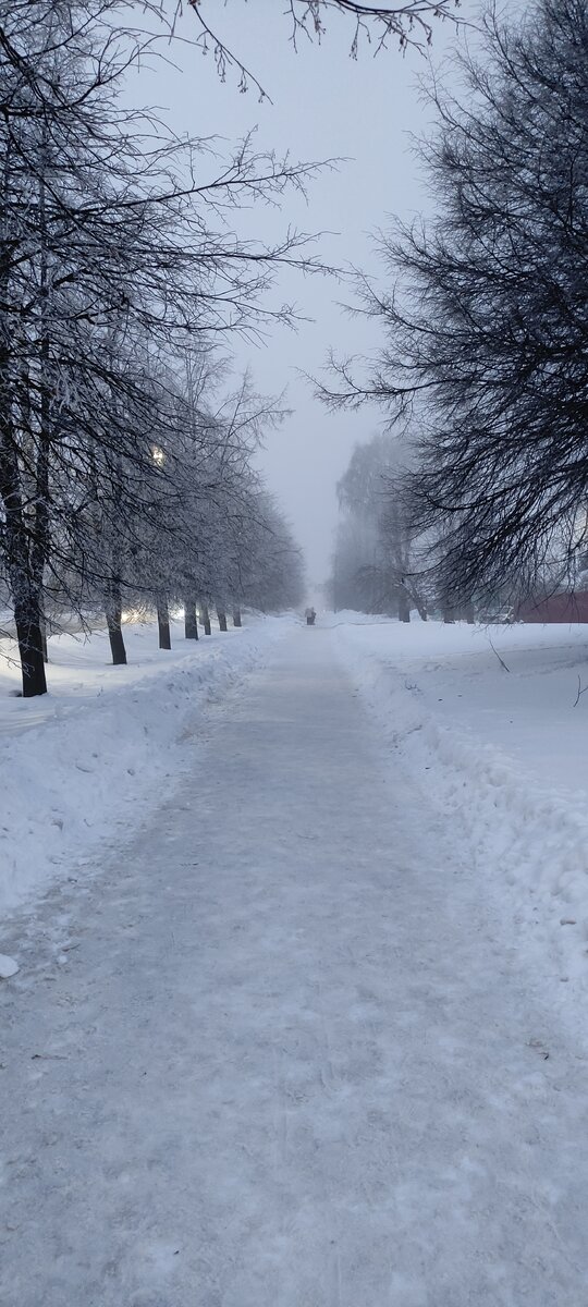 Утро туманное вчера было. Красота