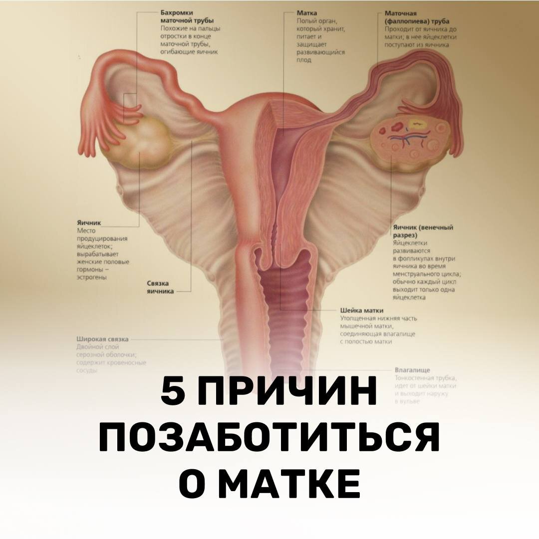 Опущение половых органов у женщин лечение | Медицинский центр «Гармония»