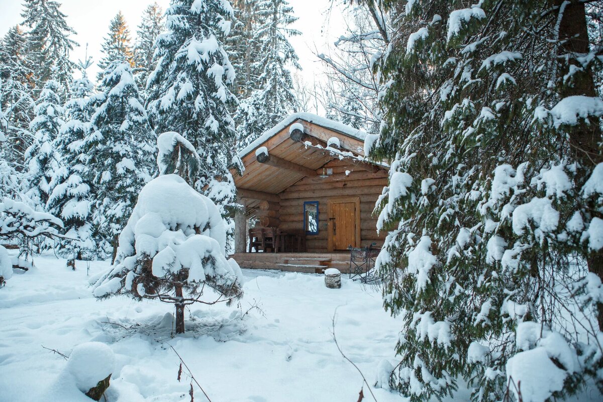 куда поехать в лес. истра кемпинг. кемпинг истра ривер. палатка на природе. палаточный лагерь в лесу у реки.