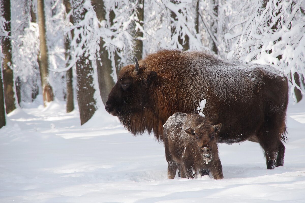 Туристы на море. Отдыхающие на море. Высокогорная сочи. Отпуск на мальдивах. Мальдивы туристы.