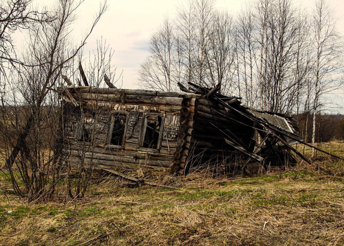 Заброшенная деревня в Тверской области. Фото в бортжурнале Jeep Cherokee (XJ). Источник https://www.drive2.ru/l/8843018/.