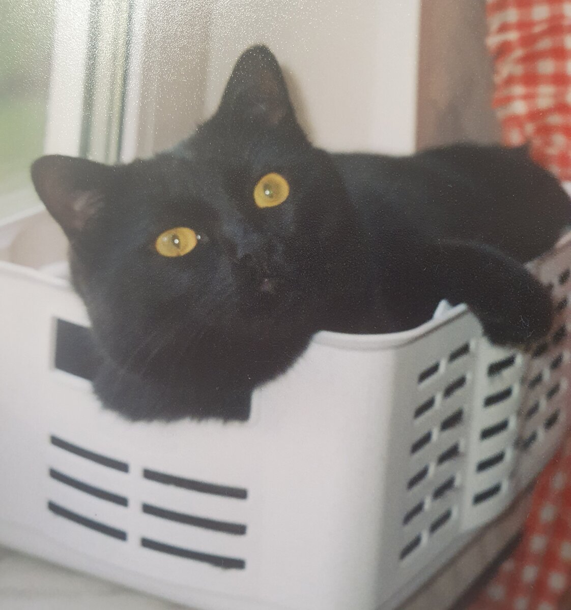 "Жаль, что не сохранились его первые фотографии"