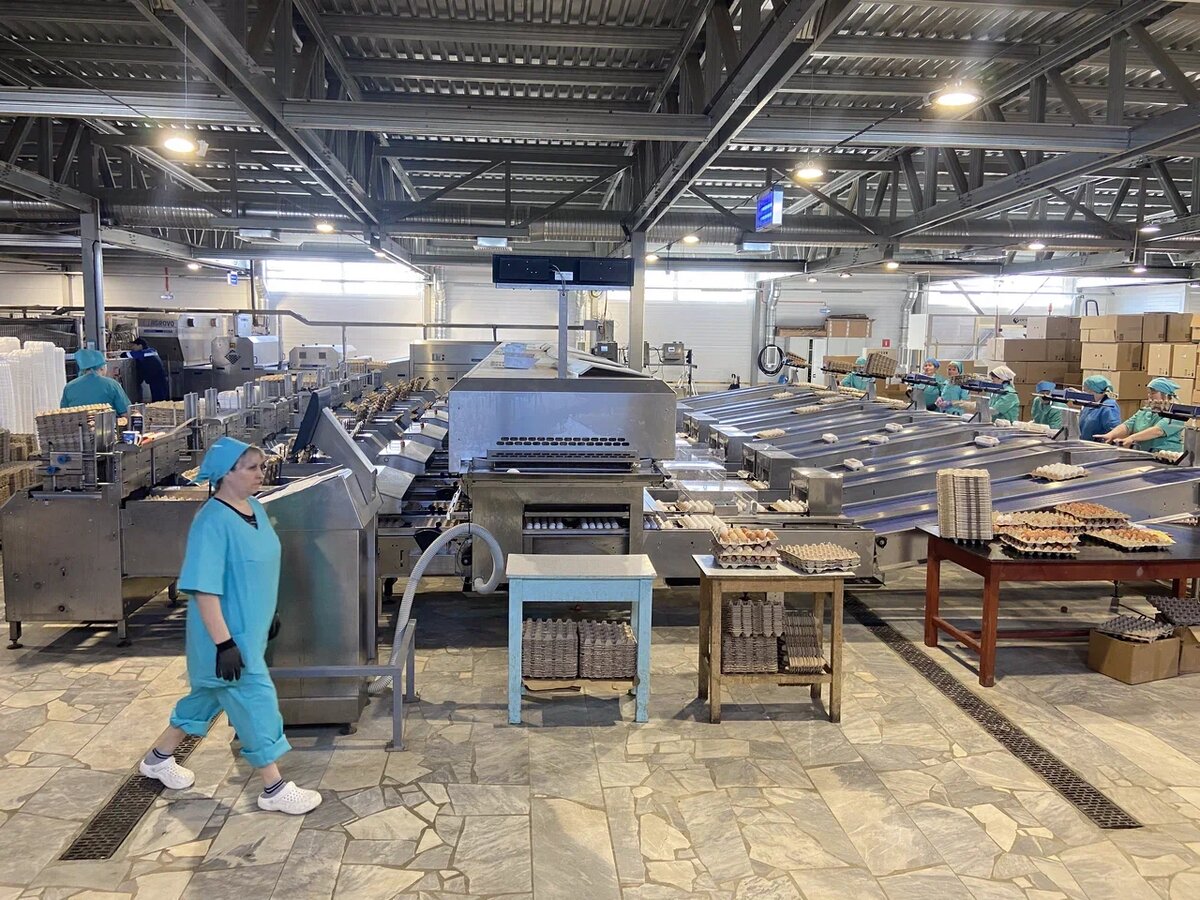     Новый сортировочный цех. Автор фото: Никита Белых